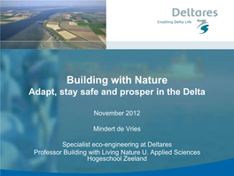 Building with Nature Adapt, Stay Safe and Prosper in the Delta