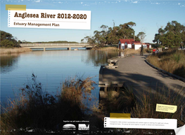 Anglesea River 2012-2020 Estuary Management Plan