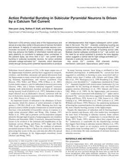 Action Potential Bursting in Subicular Pyramidal Neurons Is Driven by a Calcium Tail Current