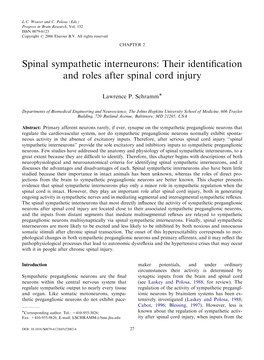 Spinal Sympathetic Interneurons: Their Identification and Roles After Spinal