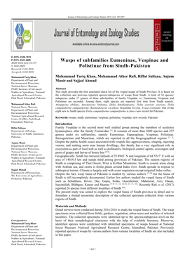 Wasps of Subfamilies Eumeninae, Vespinae and Polistinae from Sindh