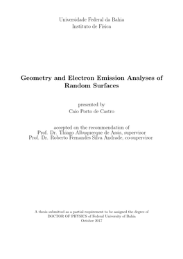 Geometry and Electron Emission Analyses of Random Surfaces