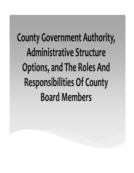 Authority Structure and Roles and Responsibilities