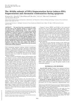 The 40-Kda Subunit of DNA Fragmentation Factor Induces DNA Fragmentation and Chromatin Condensation During Apoptosis