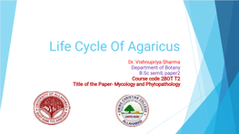 Life Cycle of Agaricus