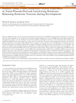 Releasing Hormone Neurons During Development