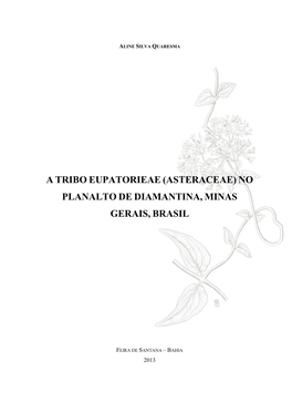 A Tribo Eupatorieae (Asteraceae) No Planalto De Diamantina, Minas