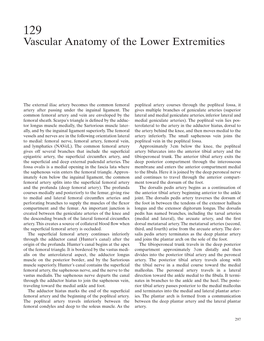 Vascular Anatomy of the Lower Extremities