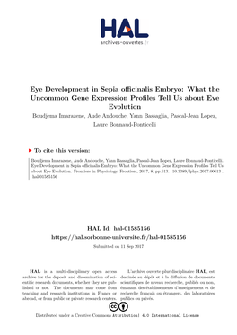 Eye Development in Sepia Officinalis Embryo