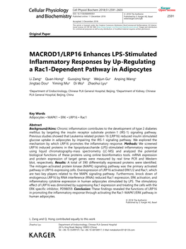MACROD1/LRP16 Enhances LPS-Stimulated Inflammatory Responses by Up-Regulating a Rac1-Dependent Pathway in Adipocytes