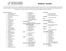 Birdathon Checklist