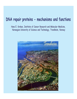 DNA Repair Proteins - M Echanism S and Functions