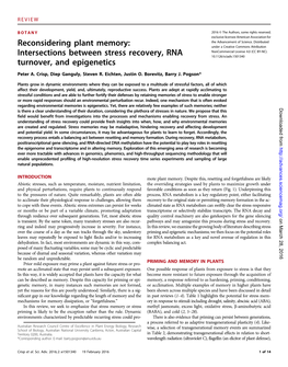Intersections Between Stress Recovery, RNA Turnover, and Epigenetics