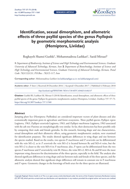 Identification, Sexual Dimorphism, and Allometric Effects of Three Psyllid Species of the Genus Psyllopsis by Geometric Morphometric Analysis (Hemiptera, Liviidae)