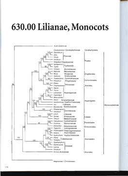 630.00 Lilianae, Monocots