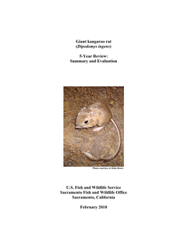 Giant Kangaroo Rat (Dipodomys Ingens) 5-Year Review