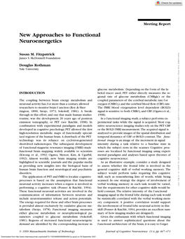 New Approaches to Functional Neuroenergetics