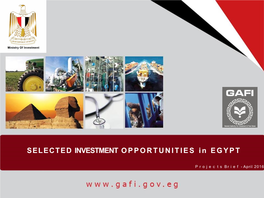 SELECTED INVESTMENT OPPORTUNITIES in EGYPT