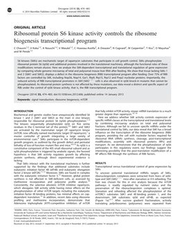 Ribosomal Protein S6 Kinase Activity Controls the Ribosome Biogenesis Transcriptional Program