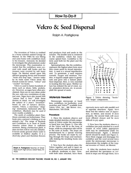 Velcro & Seed Dispersal