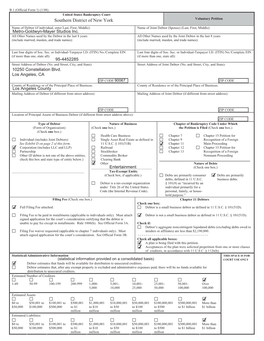 14-Page Bankruptcy Filing