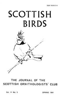 Scottish Birds