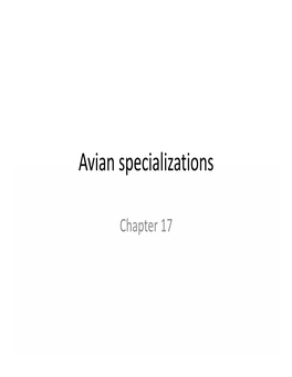 Avian Specializations