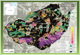 Desmatamento E Degradação Florestal Em Ulianópolis