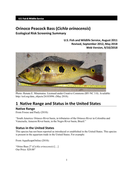Orinoco Peacock Bass (Cichla Orinocensis) Ecological Risk Screening Summary