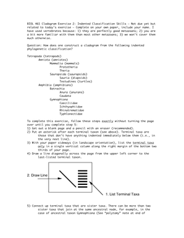 Indented Clado Exercise