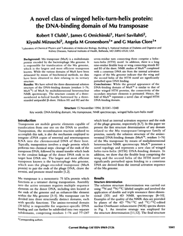 A Novel Class of Winged Helix-Turn-Helix Protein: the DNA-Binding Domain of Mu Transposase