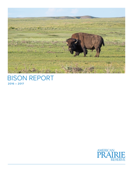 American Prairie Bison Report