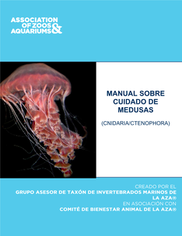 Manual Sobre Cuidado De Medusas