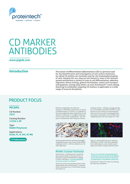 Cd Marker Antibodies