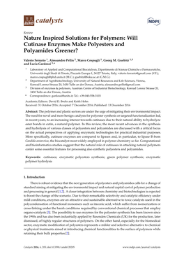 Will Cutinase Enzymes Make Polyesters and Polyamides Greener?