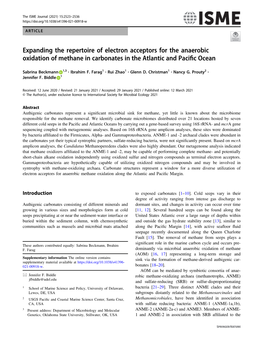 Expanding the Repertoire of Electron Acceptors for the Anaerobic Oxidation of Methane in Carbonates in the Atlantic and Pacific