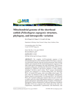 Mitochondrial Genome of the Shorthead Catfish (Pelteobagrus Eupogon): Structure, Phylogeny, and Intraspecific Variation