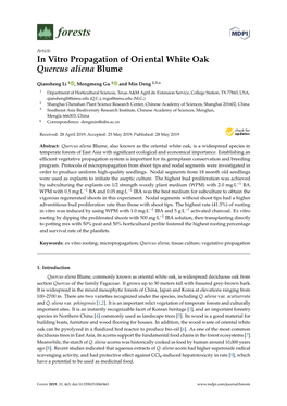 In Vitro Propagation of Oriental White Oak Quercus Aliena Blume