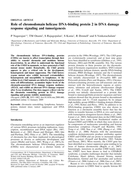 Role of Chromodomain Helicase DNA-Binding Protein 2 in DNA Damage Response Signaling and Tumorigenesis