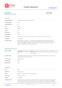 Anti-Pirh 2 Antibody (ARG57882)