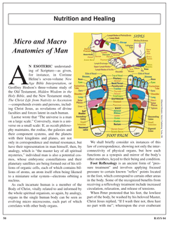 Micro and Macro Anatomies of Man