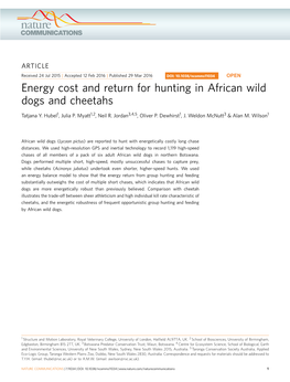 Energy Cost and Return for Hunting in African Wild Dogs and Cheetahs