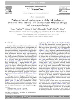 Phylogenetics and Phylogeography of the Oak Treehopper Platycotis Vittata Indicate Three Distinct North American Lineages and a Neotropical Origin