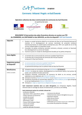 Sud Charente 2018/2020 Commerce Artisanat Progrès En Sud Charente