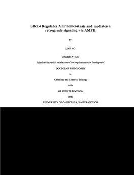 SIRT4 Regulates ATP Homeostasis and Mediates a Retrograde Signaling Via AMPK