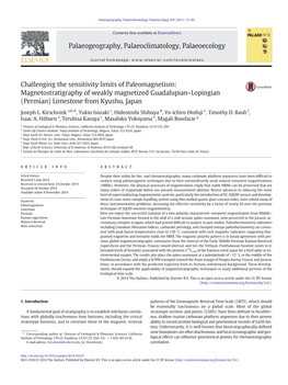 Magnetostratigraphy of Weakly Magnetized Guadalupian-Lopingian