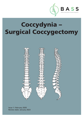 Coccydynia Surgical Coccygectomy