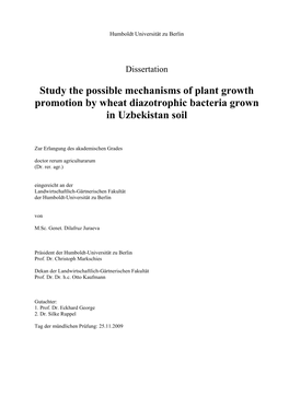 Study the Possible Mechanisms of Plant Growth Promotion by Wheat Diazotrophic Bacteria Grown in Uzbekistan Soil