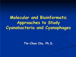Comparative Genomics of Cyanobacteria and Cyanophage