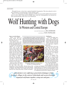 Wolf Hunting with Dogs in Western and Central Europe